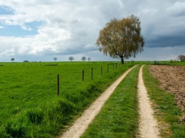 Lille (Wechelderzande)